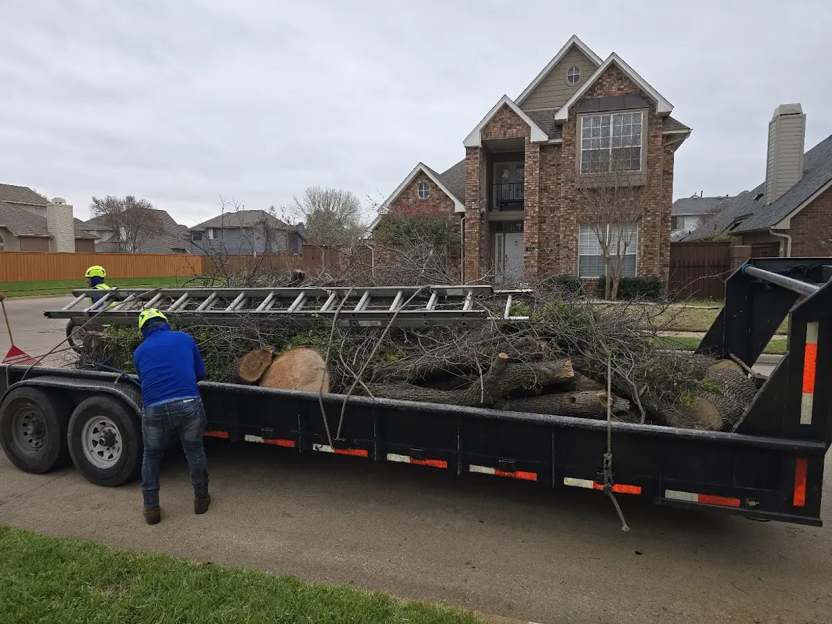 Expert Tree Fertilization with proper safety equipment in Gregory